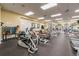 A fitness center featuring multiple machines and work out equipment with a mirrored wall at 18109 Tiverton Ct, Hudson, FL 34667