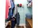 Well-organized closet with shelving, hanging rods, and space-saving accessories at 22106 Garmisch Way, Brooksville, FL 34601
