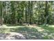 Wooded area behind the home featuring a dense grove of trees with dappled sunlight filtering through the canopy at 22106 Garmisch Way, Brooksville, FL 34601