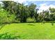 A lush green lawn with scattered trees creating a beautiful and inviting outdoor space at 22106 Garmisch Way, Brooksville, FL 34601