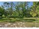 Expansive backyard showcasing a lush green lawn, mature trees, and natural landscape with sunny skies at 3032 Jacob Crossing Ln, Holiday, FL 34691