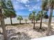 Scenic beach view framed by lush palm trees from the wrap-around porch of this elevated beach house at 3461 Gum Dr, Weeki Wachee, FL 34607