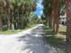 Long driveway bordered by palm trees leads to this peaceful property at 3461 Gum Dr, Weeki Wachee, FL 34607
