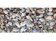 A variety of beautiful seashells in neutral colors lie on the ground, showcasing the natural beauty of the beach at 3461 Gum Dr, Weeki Wachee, FL 34607