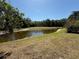 View of the backyard pond offering a serene natural view at 4450 Anaconda Dr, New Port Richey, FL 34655