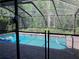 Screened-in pool area with an expansive view of a tropical backyard at 5045 Musselshell Dr, New Port Richey, FL 34655