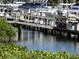 Scenic boat dock featuring lush greenery and tranquil water at 545 Walden Ct, Dunedin, FL 34698