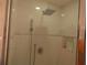 Modern walk-in shower with glass doors and a rainfall shower head at 545 Walden Ct, Dunedin, FL 34698