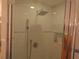 Sleek glass-enclosed shower featuring a modern rainfall showerhead and convenient handheld sprayer at 545 Walden Ct, Dunedin, FL 34698