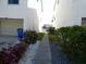Clean side yard with a walkway dividing 2 units and simple landscaping at 545 Walden Ct, Dunedin, FL 34698