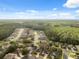 Expansive aerial view of a residential community bordered by a lush green forest backdrop at 11254 Mollymawk Ct, New Port Richey, FL 34654