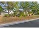 View of yard with trees and vegetation at 11254 Mollymawk Ct, New Port Richey, FL 34654