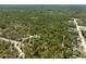 Sprawling wooded acreage features several homesites nestled amidst lush tree cover and beautiful natural surroundings at 11730 Hawks Nest Trl, Brooksville, FL 34614