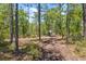 A land view of a wooded area with a path leading to a trailer in the distance at 11730 Hawks Nest Trl, Brooksville, FL 34614