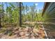 Outdoor shot of a wooded lot with a metal shed with green trees and underbrush at 11730 Hawks Nest Trl, Brooksville, FL 34614