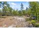 Overview of lot with dense trees, green foliage, and clearings on a sunny day at 11730 Hawks Nest Trl, Brooksville, FL 34614