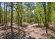 The house has a lush, forest-like landscape with various shrubs and bushes at 11730 Hawks Nest Trl, Brooksville, FL 34614