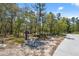 Landscape view of a wooded property including a swing set, trees, and greenery at 11730 Hawks Nest Trl, Brooksville, FL 34614