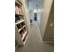 Hallway with carpeting, storage, and access to other rooms at 11796 Crestridge Loop, New Port Richey, FL 34655