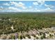 Birds eye view of a neighborhood with the homes lining a street and backing up to a conservation area at 18331 Waydale Loop, Hudson, FL 34667