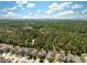 Overhead aerial view of a neighborhood with mature trees backing up to a large wooded conservation area at 18331 Waydale Loop, Hudson, FL 34667