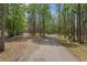 Scenic driveway surrounded by tall trees, offering a tranquil entrance to the property at 3431 Saturn Rd, Brooksville, FL 34604