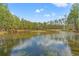 Scenic pond surrounded by lush greenery, providing a tranquil and picturesque water feature at 3431 Saturn Rd, Brooksville, FL 34604