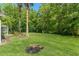 Expansive backyard featuring mature trees, lush green lawn, and wooded privacy at 1013 Sweet Jasmine Dr, Trinity, FL 34655