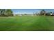 Lush green golf course with mature trees. Perfect for a leisurely round at 1013 Sweet Jasmine Dr, Trinity, FL 34655