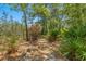Wooded trail with mature trees and lush foliage, perfect for a nature walk at 10540 Noddy Tern Rd, Weeki Wachee, FL 34613