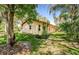 Expansive backyard featuring lush green grass, mature trees, and a sense of privacy, perfect for outdoor activities at 10641 Timber Ln, Port Richey, FL 34668