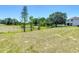 The backyard showcases a green lawn, mature trees, and a serene view, backing onto a quiet natural preserve at 1082 Nodding Shade Dr, Brooksville, FL 34604