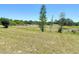 Expansive backyard with lush green grass and scattered trees under a clear blue sky at 1082 Nodding Shade Dr, Brooksville, FL 34604