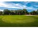 Close up of a golf course green at 1171 Dartford Dr, Tarpon Springs, FL 34688