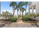 Backyard featuring lush greenery, tropical palm trees, and a waterfront view at 1340 Bayshore Blvd # 411, Dunedin, FL 34698