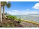 Breathtaking waterfront view with lush landscaping and a glimpse of the clear blue sky at 1340 Bayshore Blvd # 411, Dunedin, FL 34698