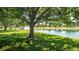 Scenic backyard with a tranquil pond view, enhanced by mature trees at 15038 Tamarind Loop, Spring Hill, FL 34609