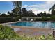 Community pool with multiple lounge chairs available, surrounded by manicured bushes at 15585 Rene Ct, Brooksville, FL 34604