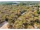 A distant aerial view of property surrounded by mature trees and greenery, showcasing its secluded location at 1916 & 1910 Beachway Ln, Odessa, FL 33556