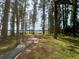 Scenic path leading to the lake offering a peaceful walk through a tree-lined landscape at 1916 & 1910 Beachway Ln, Odessa, FL 33556