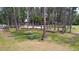 Scenic picnic area with multiple tables and barbecue grills surrounded by tall trees and green grass at 1916 & 1910 Beachway Ln, Odessa, FL 33556