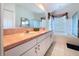Well-lit main bathroom with dual sinks, large mirror, and a separate soaking tub, offering a spa-like experience at 3054 Oakbrook Cir, Clearwater, FL 33759