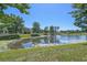 Scenic pond view surrounded by lush greenery and well-maintained landscaping behind select homes at 3555 Bracknell Ct, Land O Lakes, FL 34638