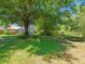 Expansive backyard with lush lawn, mature trees, and screened lanai, ideal for outdoor relaxation and entertaining at 446 Romine Ct, Spring Hill, FL 34609