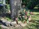 Lush garden with bromeliad and other flowers surrounding mature tree trunk and bird bath feature at 7508 Cypress Knee Dr, Hudson, FL 34667