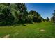 Expansive backyard featuring lush green grass and mature trees, providing a serene outdoor space at 8604 Corinthian Way, New Port Richey, FL 34654