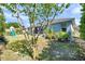 Scenic backyard view featuring a lush lawn, patio, mature trees, and a playset at 8635 Creedmoor Ln, New Port Richey, FL 34654