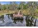 Dock over the water with people relaxing and a walking bridge through a wooded area with water lilies at 8635 Creedmoor Ln, New Port Richey, FL 34654
