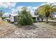 Charming single-story home surrounded by lush landscaping and a well-maintained yard, complete with mature palm trees at 10309 Honeysuckle Ln, Port Richey, FL 34668