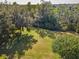 Expansive backyard with mature trees, offering privacy and space for outdoor activities at 1033 Tuscany Dr, Trinity, FL 34655